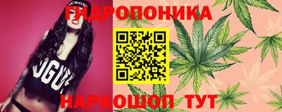 дмт Севастополь